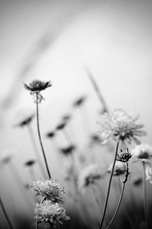 Profilbild von Anita Silies