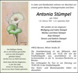 eine Anzeige