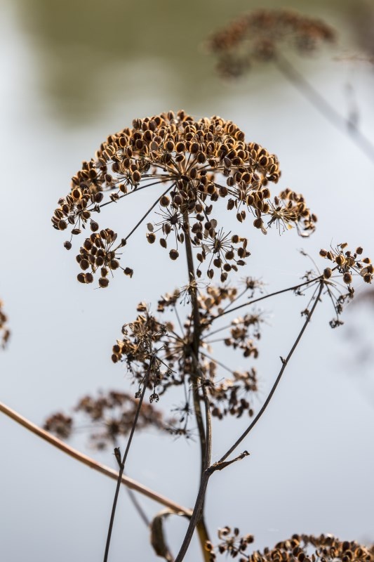 Profilbild von Elfriede Kock
