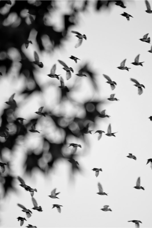 Profilbild von Joachim Koch