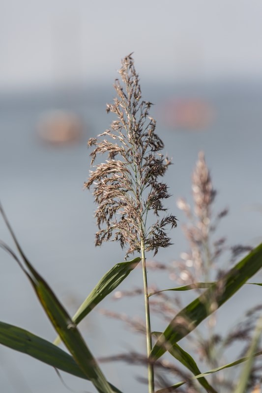 Profilbild von Margret Tillar