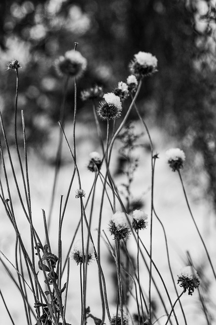 Profilbild von Ulrich K&ouml;lsch